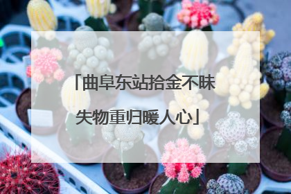 曲阜东站拾金不昧 失物重归暖人心