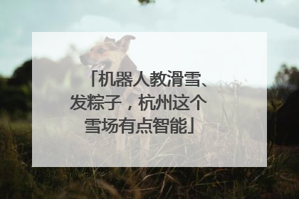 机器人教滑雪、发粽子，杭州这个雪场有点智能