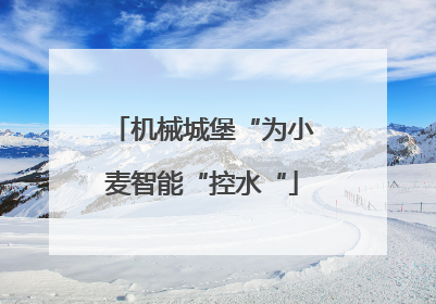 机械城堡“为小麦智能“控水“