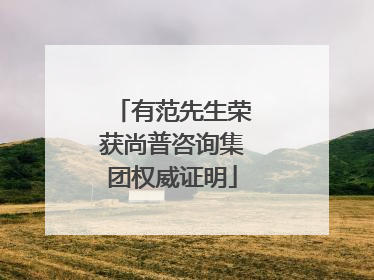 有范先生荣获尚普咨询集团权威证明