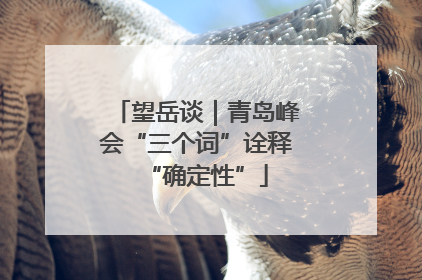 望岳谈｜青岛峰会“三个词”诠释“确定性”