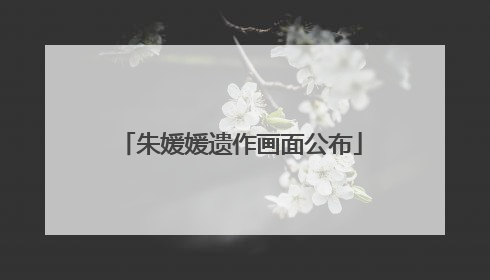朱媛媛遗作画面公布
