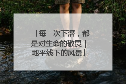 每一次下潜，都是对生命的敬畏｜地平线下的风景
