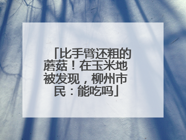 比手臂还粗的蘑菇！在玉米地被发现，柳州市民：能吃吗
