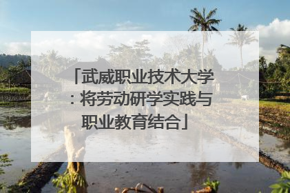 武威职业技术大学：将劳动研学实践与职业教育结合