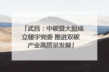 武昌：中碳登大厦成立楼宇党委 推进双碳产业高质量发展