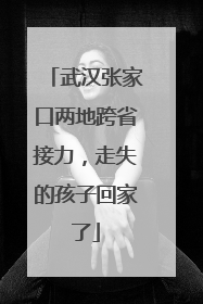 武汉张家口两地跨省接力，走失的孩子回家了