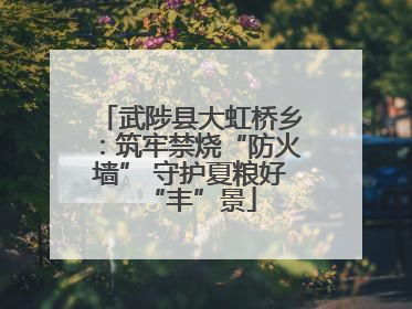武陟县大虹桥乡：筑牢禁烧“防火墙” 守护夏粮好“丰”景