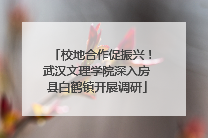 校地合作促振兴！武汉文理学院深入房县白鹤镇开展调研