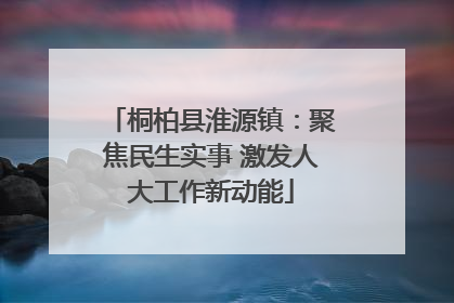桐柏县淮源镇：聚焦民生实事 激发人大工作新动能
