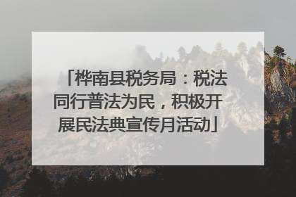桦南县税务局：税法同行普法为民，积极开展民法典宣传月活动