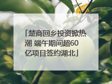 楚商回乡投资掀热潮 端午期间超60亿项目签约湖北