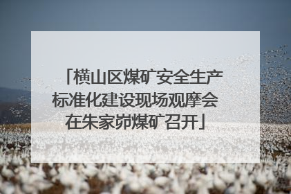 横山区煤矿安全生产标准化建设现场观摩会在朱家峁煤矿召开