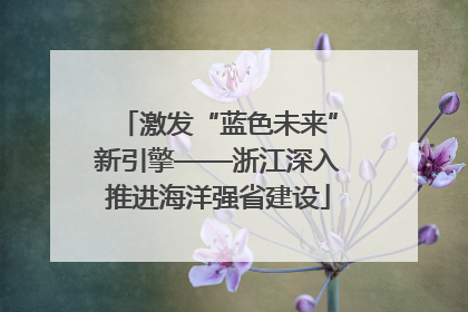 激发“蓝色未来”新引擎——浙江深入推进海洋强省建设