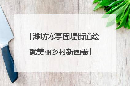 潍坊寒亭固堤街道绘就美丽乡村新画卷