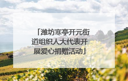 潍坊寒亭开元街道组织人大代表开展爱心捐赠活动