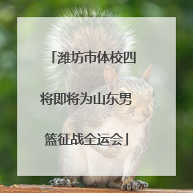 潍坊市体校四将即将为山东男篮征战全运会