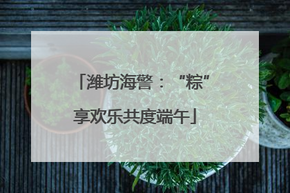 潍坊海警：“粽”享欢乐共度端午