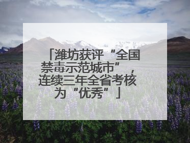 潍坊获评“全国禁毒示范城市”，连续三年全省考核为“优秀”