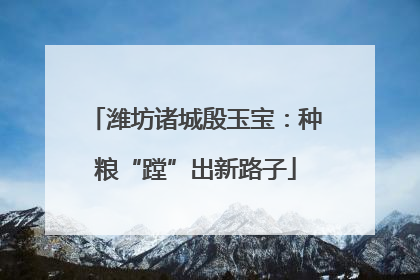 潍坊诸城殷玉宝：种粮“蹚”出新路子