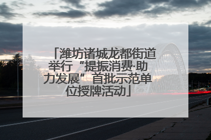 潍坊诸城龙都街道举行“提振消费·助力发展”首批示范单位授牌活动