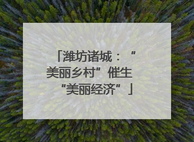 潍坊诸城：“美丽乡村”催生“美丽经济”