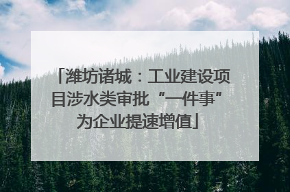 潍坊诸城：工业建设项目涉水类审批“一件事” 为企业提速增值