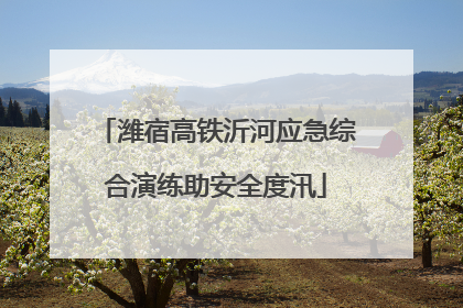 潍宿高铁沂河应急综合演练助安全度汛