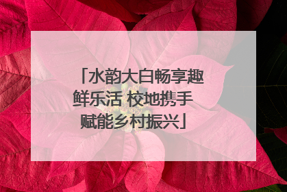 水韵大白畅享趣鲜乐活 校地携手赋能乡村振兴