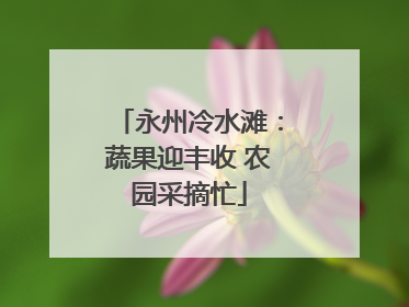 永州冷水滩：蔬果迎丰收 农园采摘忙