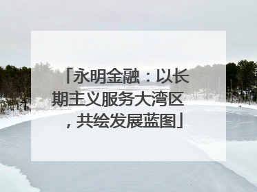 永明金融：以长期主义服务大湾区，共绘发展蓝图