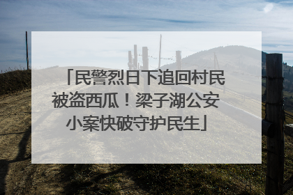 民警烈日下追回村民被盗西瓜！梁子湖公安小案快破守护民生