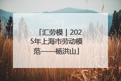汇劳模｜2025年上海市劳动模范——杨洪山