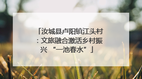汝城县卢阳镇江头村：文旅融合激活乡村振兴 “一池春水”