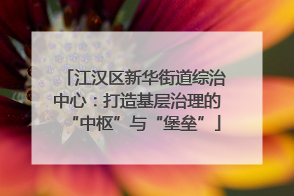 江汉区新华街道综治中心：打造基层治理的“中枢”与“堡垒”