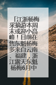 江浙杨梅采摘游本周末或迎小高峰！目前在售东魁杨梅多来自云南、福建，浙江露天东魁杨梅6月中旬大量上市