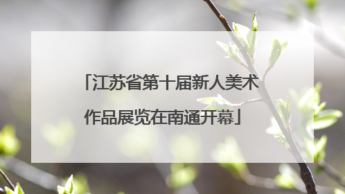 江苏省第十届新人美术作品展览在南通开幕