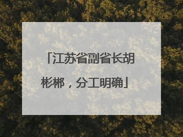 江苏省副省长胡彬郴，分工明确