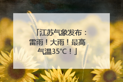 江苏气象发布：雷雨！大雨！最高气温35℃！