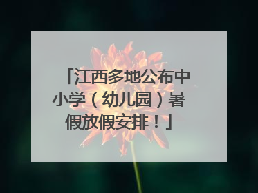 江西多地公布中小学（幼儿园）暑假放假安排！