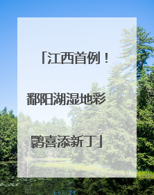 江西首例！鄱阳湖湿地彩鹮喜添新丁