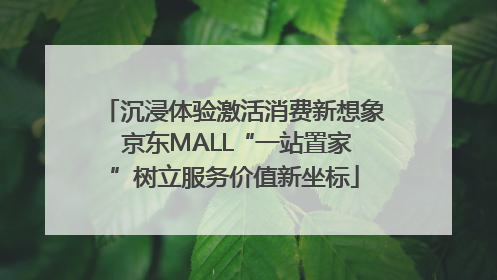 沉浸体验激活消费新想象 京东MALL“一站置家”树立服务价值新坐标