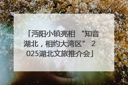 沔阳小镇亮相 “知音湖北，相约大湾区” 2025湖北文旅推介会