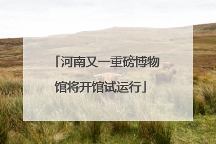 河南又一重磅博物馆将开馆试运行