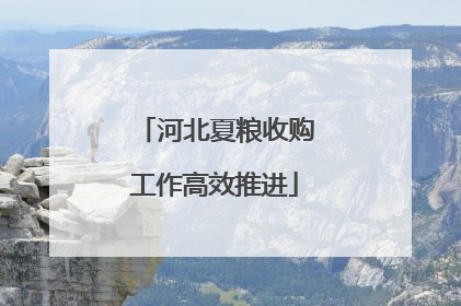 河北夏粮收购工作高效推进