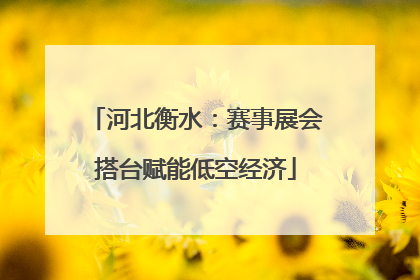 河北衡水：赛事展会搭台赋能低空经济