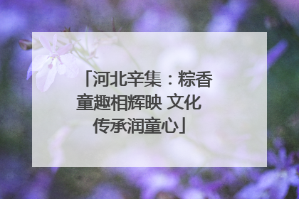 河北辛集：粽香童趣相辉映 文化传承润童心