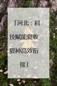 河北：科技赋能夏收夏种高效衔接