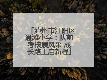 泸州市江阳区通滩小学：队前考核展风采 成长路上启新程
