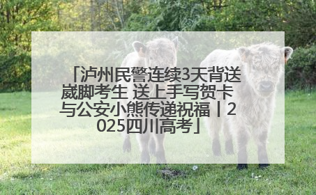 泸州民警连续3天背送崴脚考生 送上手写贺卡与公安小熊传递祝福丨2025四川高考